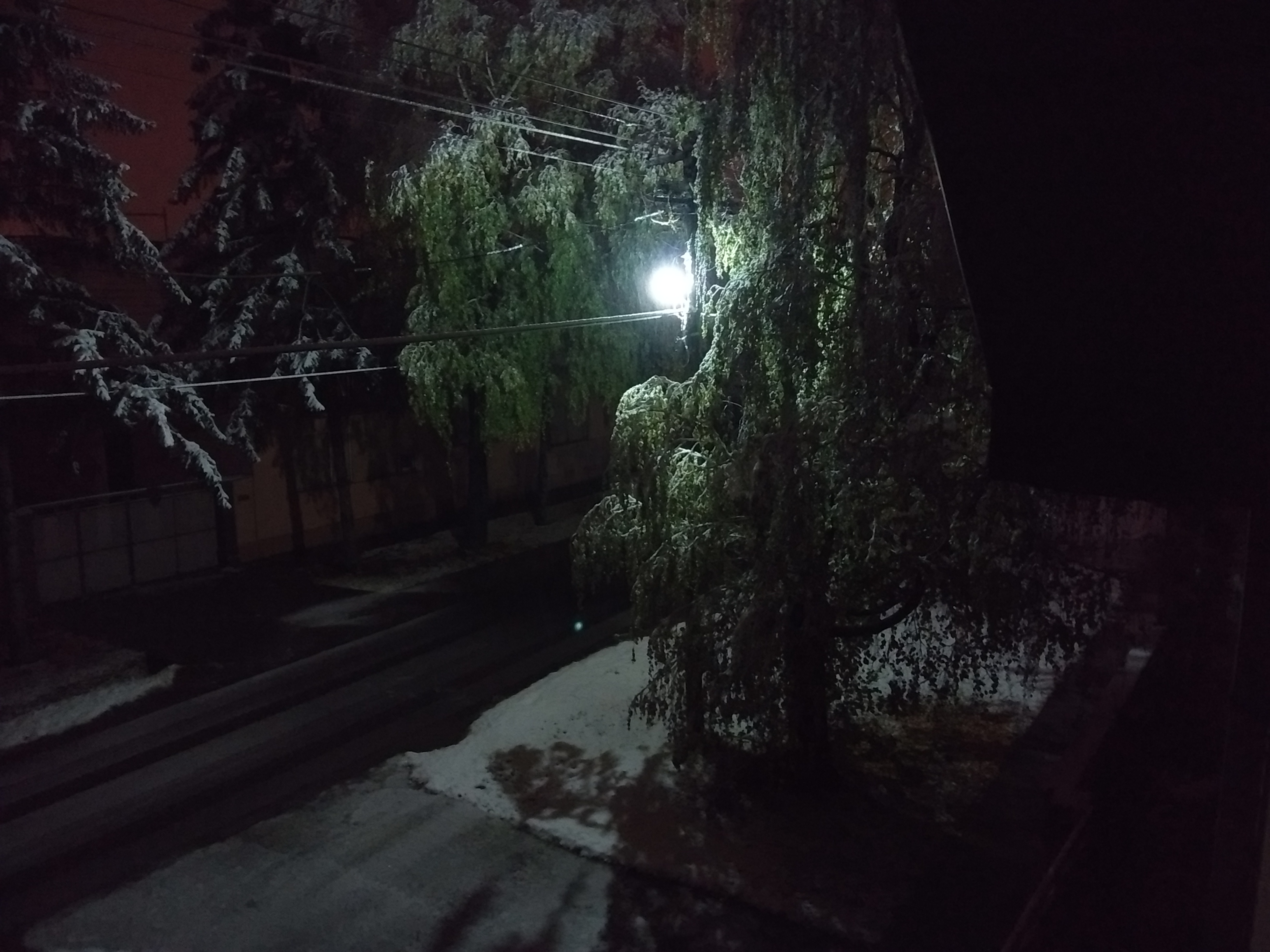 Slika