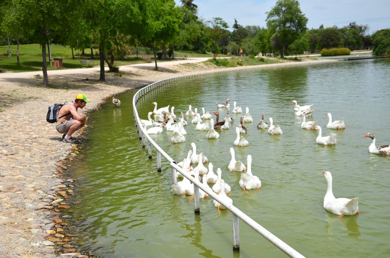 PARQUE DE POLVORANCA-2016/2022-MADRID - Paseando por España-1991/2016 (13)