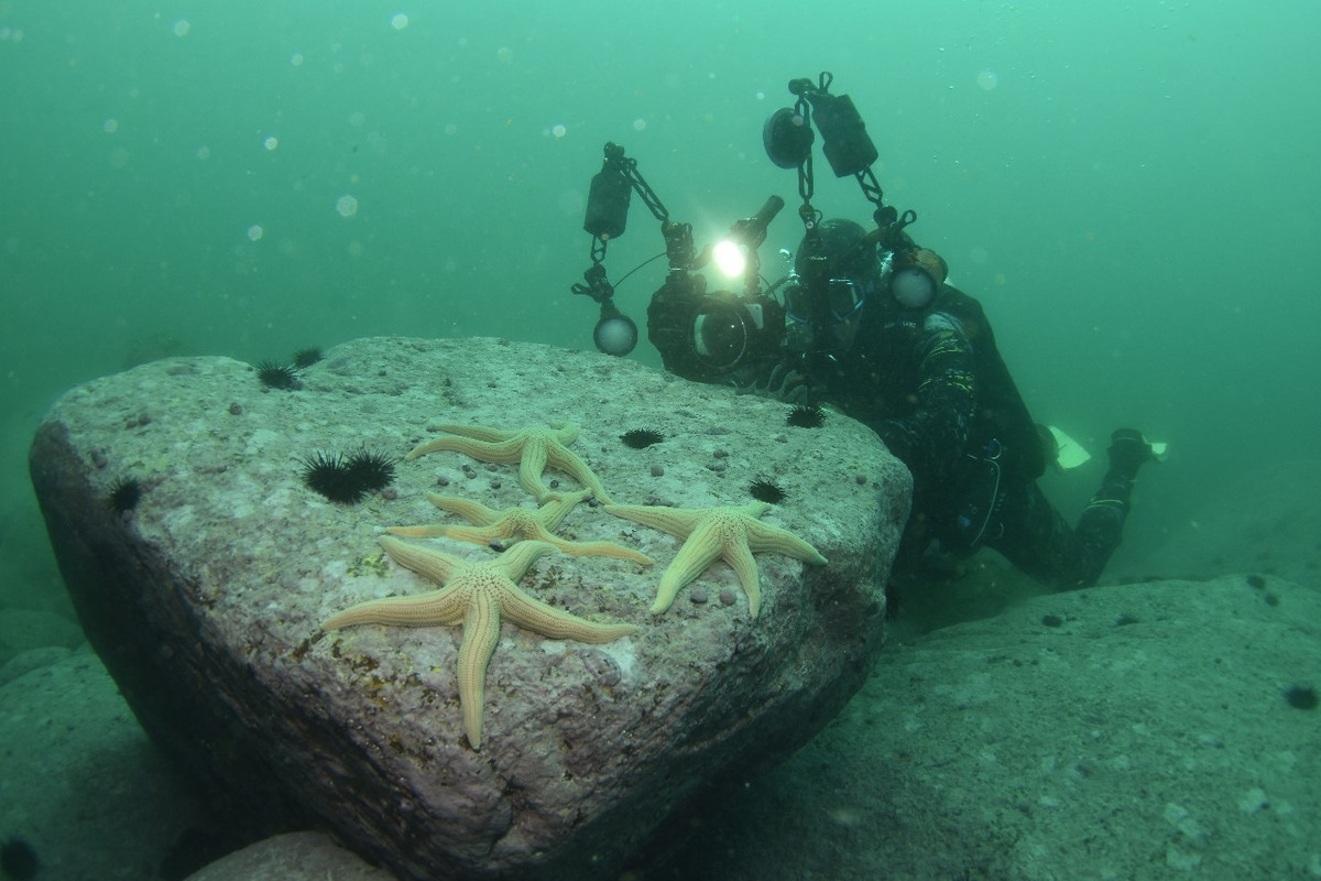 WhatsApp Image 2025-01-03 at 21.59.52 (3)