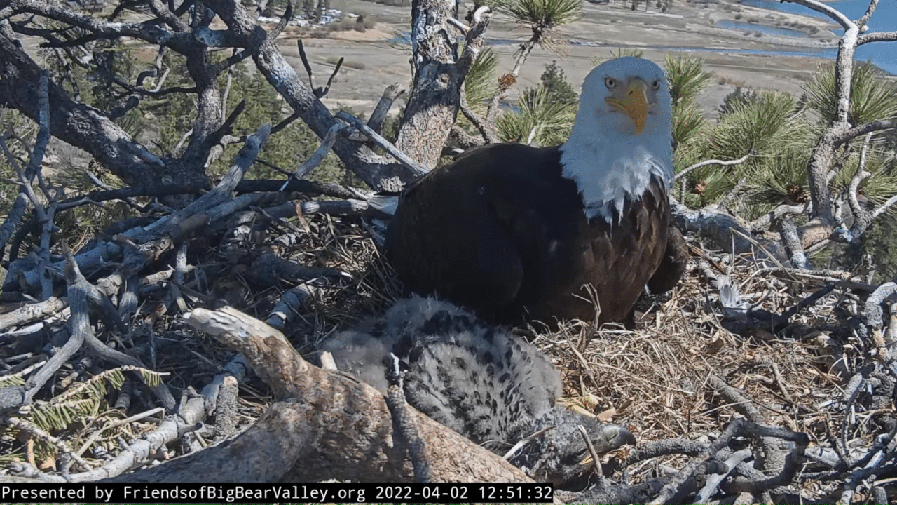 Webp.net-gifmaker (6)