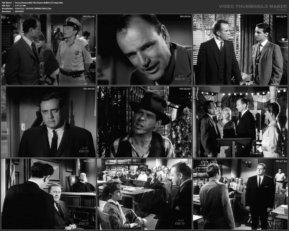 Perry.Mason.802.The.Paper.Bullets.(Tvrip).mkv