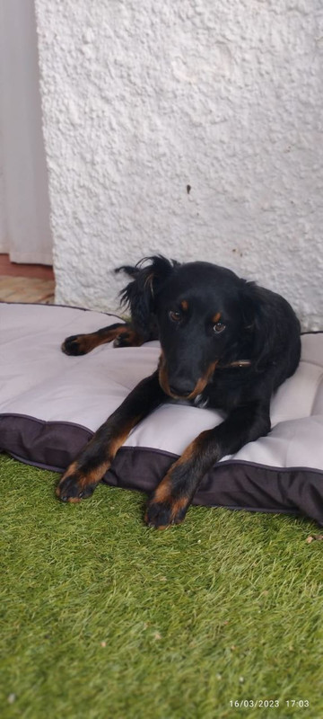 photo_2023-03-24_08-06-54