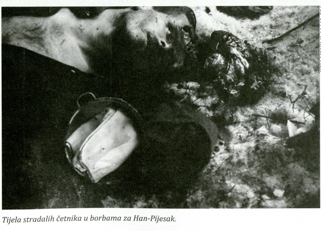 [Слика: 186524139-1920004358157143-9140253555186054991-n.jpg]