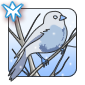 06-Icebird.png