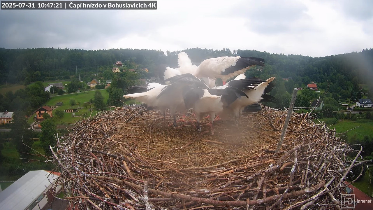 Tiešraide no KARA uzņēmuma stārķu skursteņa Bohuslavicē netālu no Trutnovas 7-9-26 screenshot