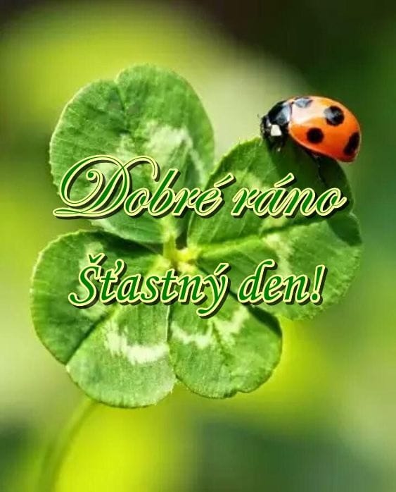 462298041-1067009118258978-6316433258151143747-n