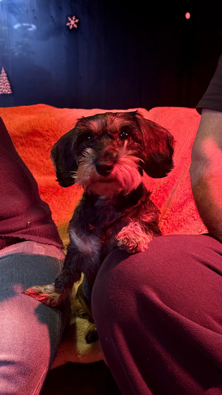 [Image: a6ca2c43-c2fd-41cd-9160-8335528629bb.jpg]