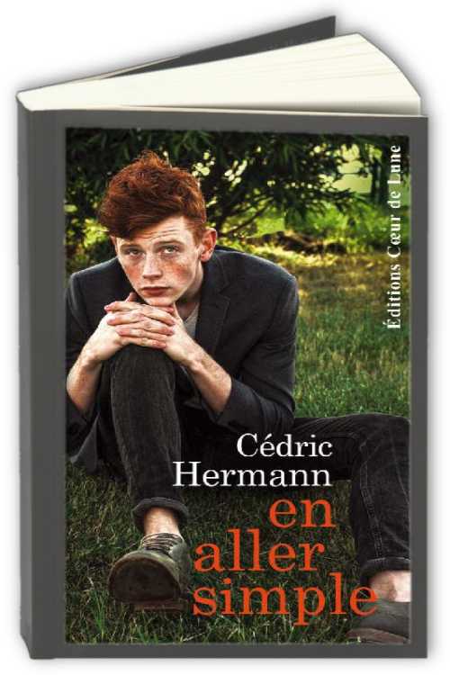 En-aller-simple-Cedric-Hermann.jpg