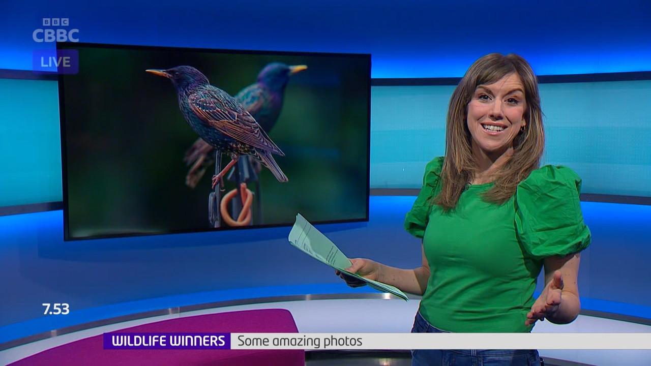 Newsround_20230320_07450755.ts_snapshot_09.45.290