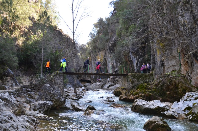 RUTA RIO BOROSA-12-3-2016-JAEN - Paseando por España-1991/2016 (46)