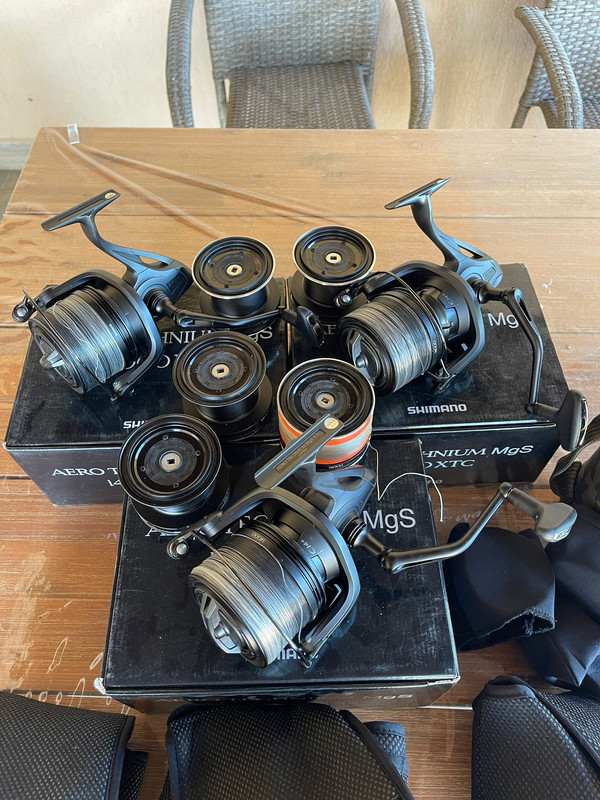 WhatsApp Image 2023-08-24 at 17.54.44 (1)