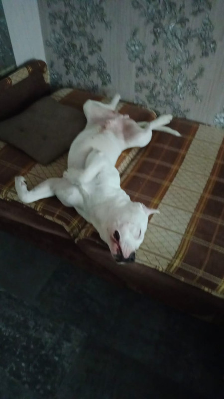 768088E6-0759-40DC-9D46-0948AFDDC772