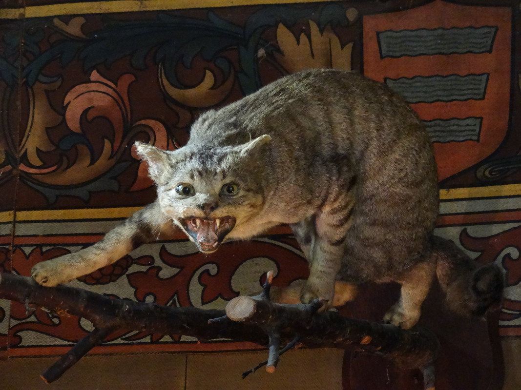 07.09 - DSC08623 (Czesio1)