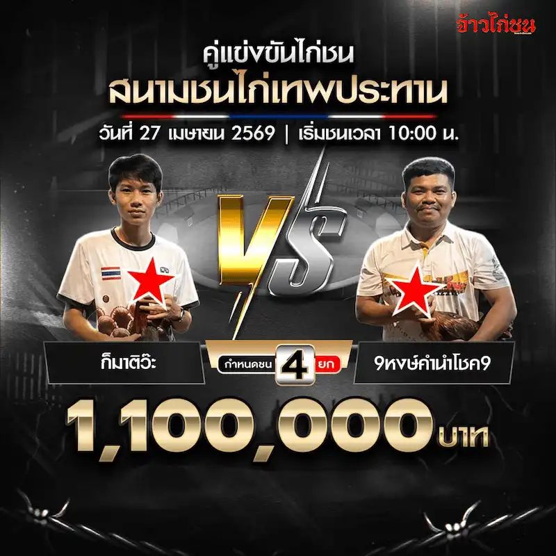 ก็มาดิว๊ะ พบ 9 หงษ์คำนำโชค 9 โปรแกรมไก่ชน สนามเทพประทาน วันที่ 27 เมษายน 2569