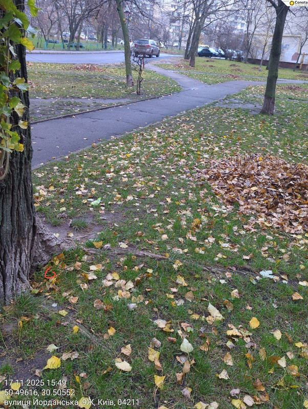 photo 23 2025 11 17 17 21 43