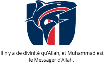 https://i.postimg.cc/nr2bfpqC/Capture-d-cran-2024-11-24-194054.png