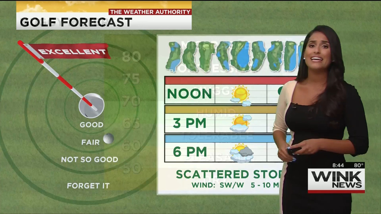 08.16 - 11.00.00 - WINK News @ 6 00AM Sunday..ts_snapshot_00.45.31.780