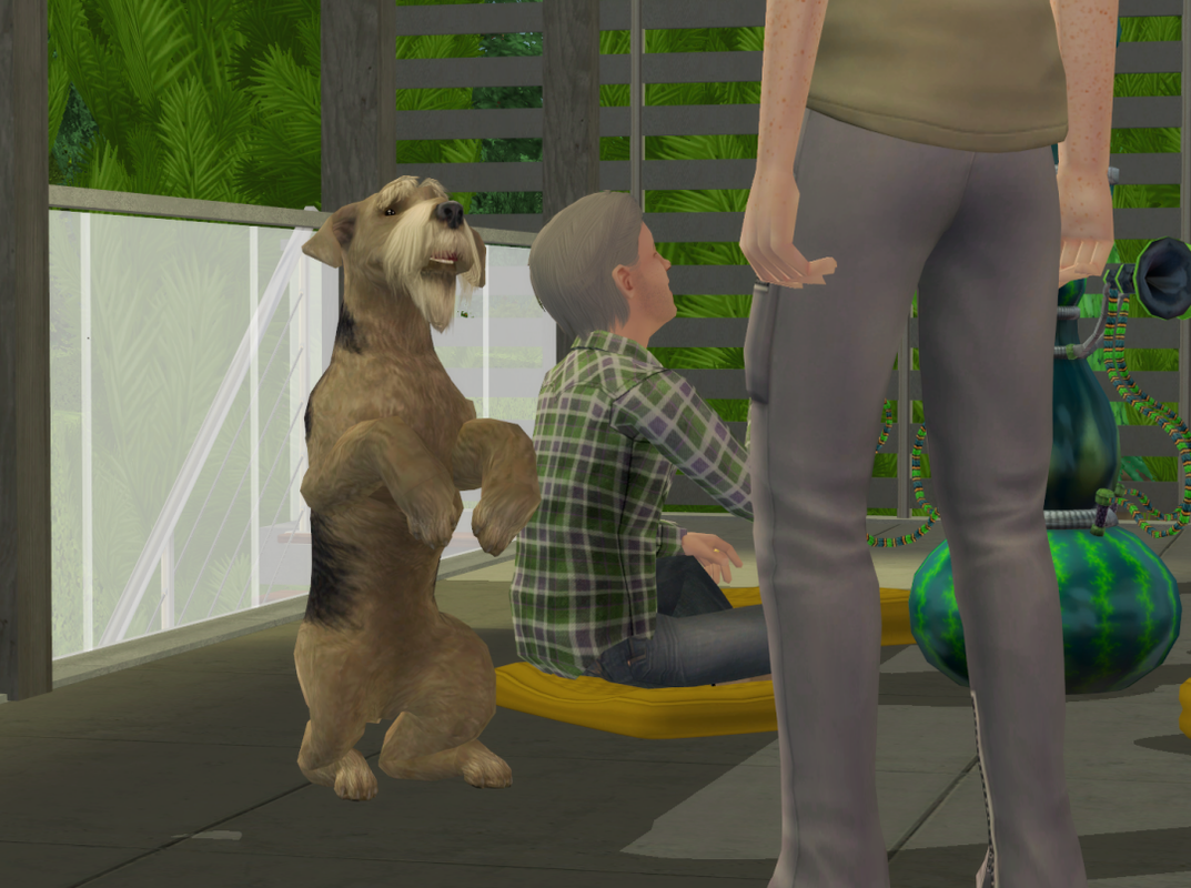 Sims2-EP9-RPC-2023-09-04-22-38-43-34