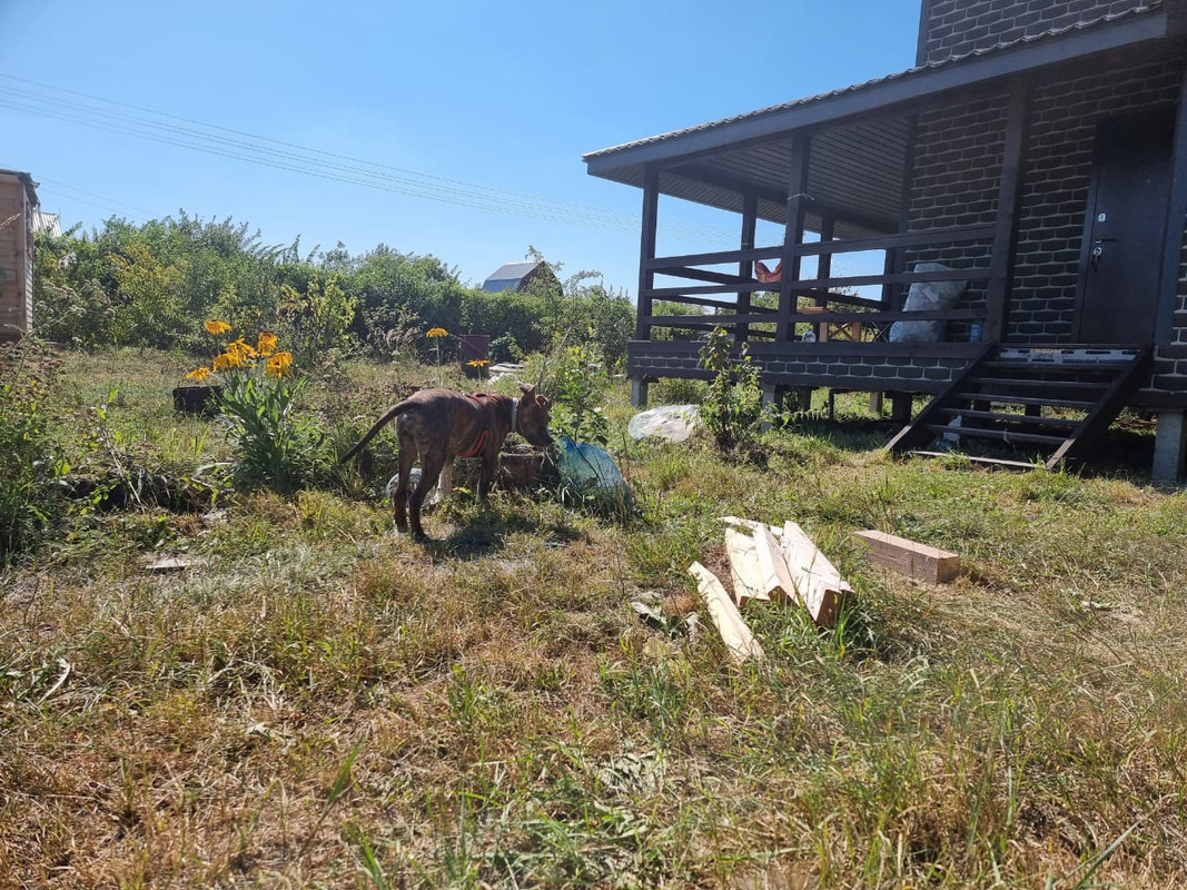 EC9609D9-D94A-42D2-B364-FE3301A91C62