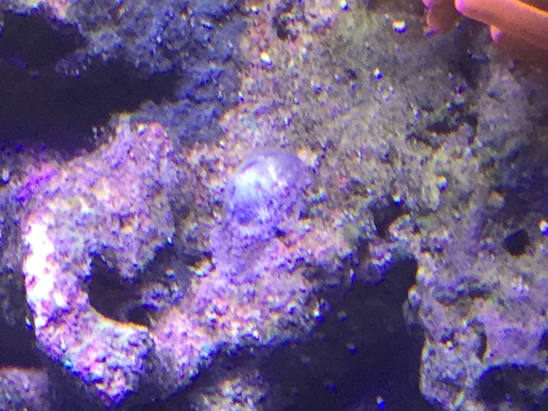 E7F8DB7B-F25C-4712-B9C5-2E054C25A4F6