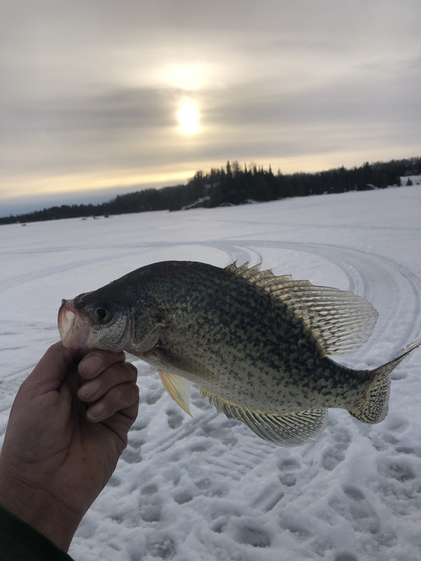 52723F77-7972-435E-9D78-BFE4871F5767