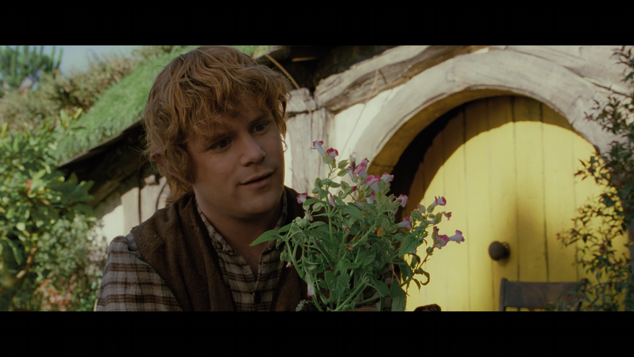 The Lord of the Rings- The Fellowship of the Ring (EXT.) PT. 1.mkv_snapshot_00.10.02_[2020.12.05_21.