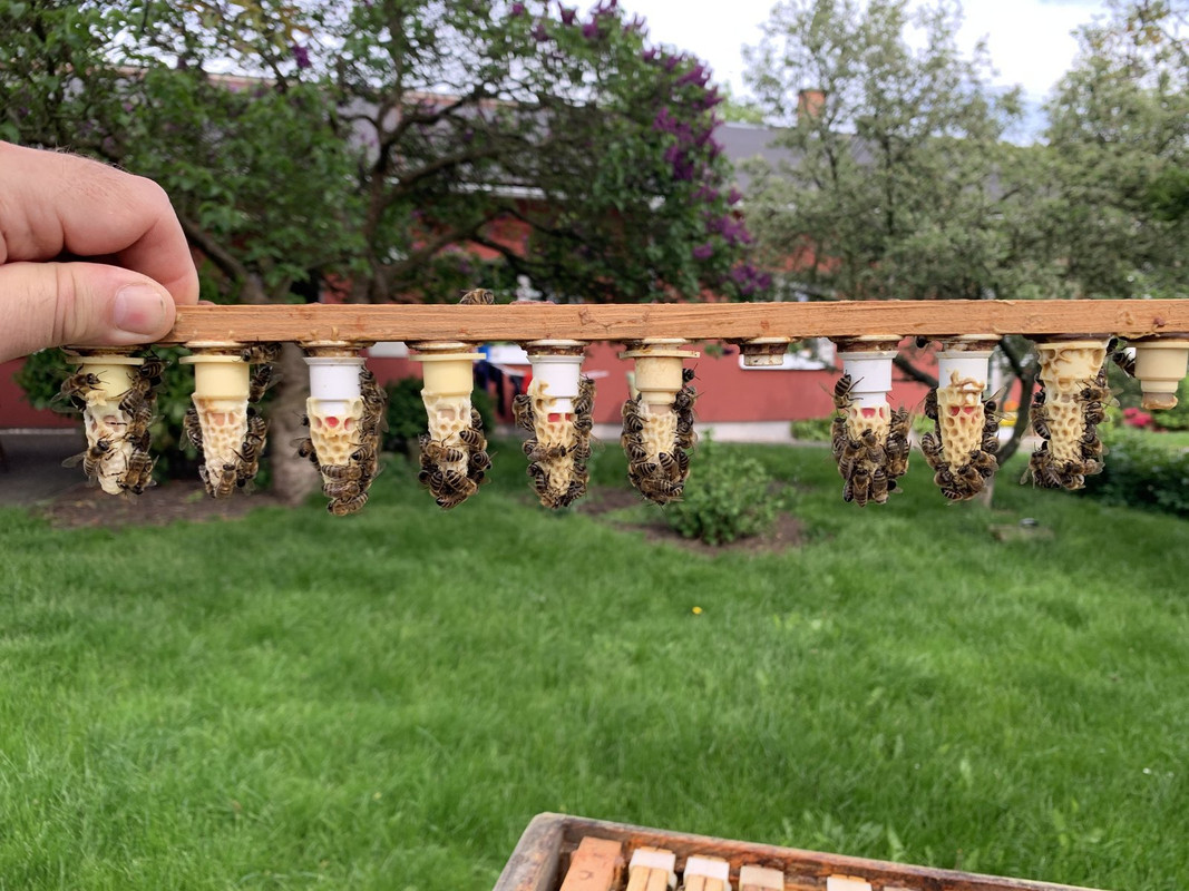 E294B980-9596-40F6-9ED3-6330C4019C69