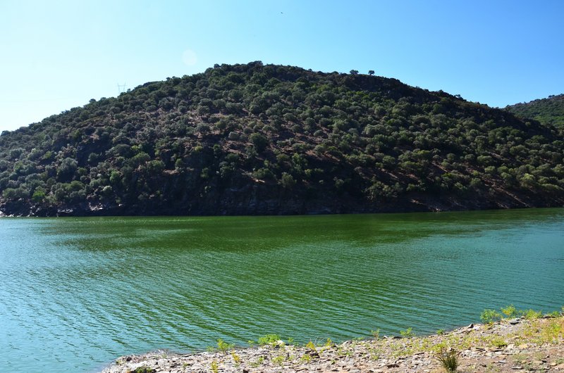 PARQUE NACIONAL DE MONFRAGÜE-2020/2023 - EXTREMADURA Y SUS PUEBLOS -2010-2023 (171)