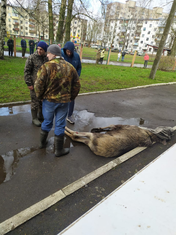 WhatsApp Image 2020-04-29 at 16.01.46 (1)