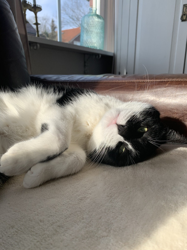 CF9AE5C2-78B7-42F9-A1CA-B94BE4216CC0