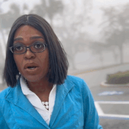 CE113099-0D66-4A8E-9640-1A0C38C97F78