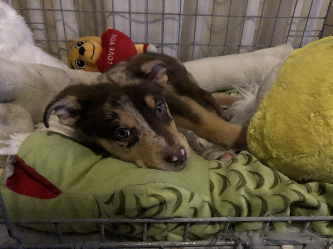 D67F49E8-34CA-4F99-B3A1-265B3C9F648D