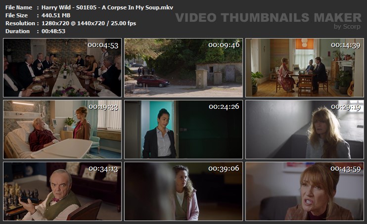 Harry Wild - S01E05 - A Corpse In My Soup.mkv