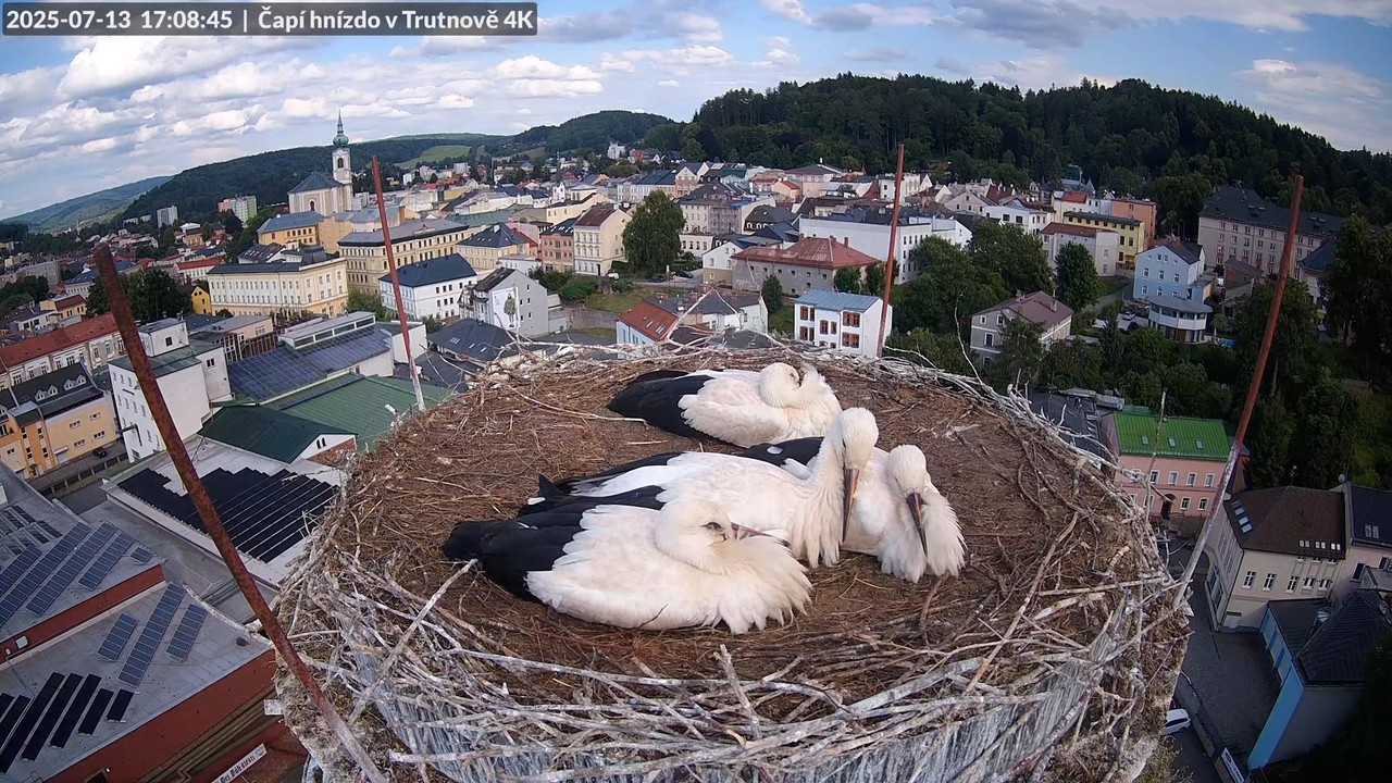 Tiešraide no stārķa ligzdas uz alus darītavas skursteņa Trutnovā 14-28-42 screenshot