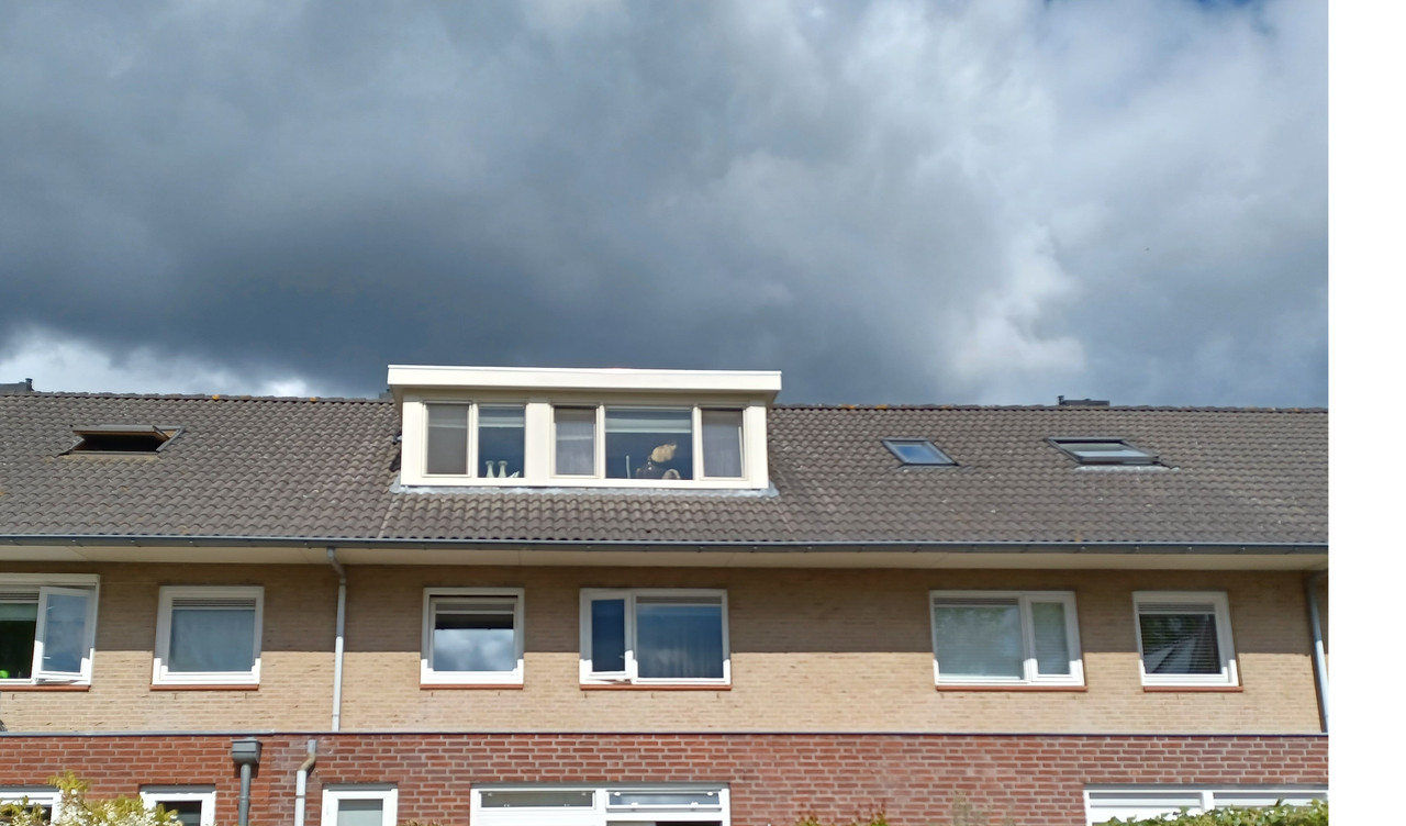 Achterkant Zuid Oost