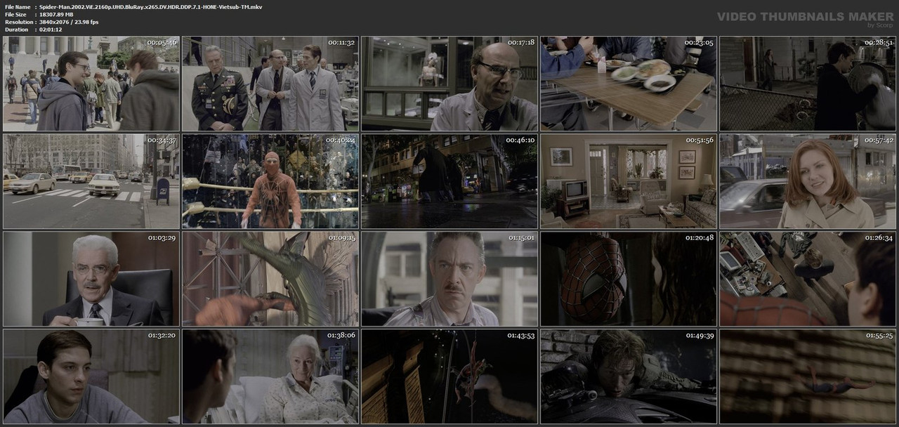 Spider-Man-2002-Vi-E-2160p-UHD-Blu-Ray-x265-DV-HDR-DDP-7-1-HONE-Vietsub-TM-mkv.jpg