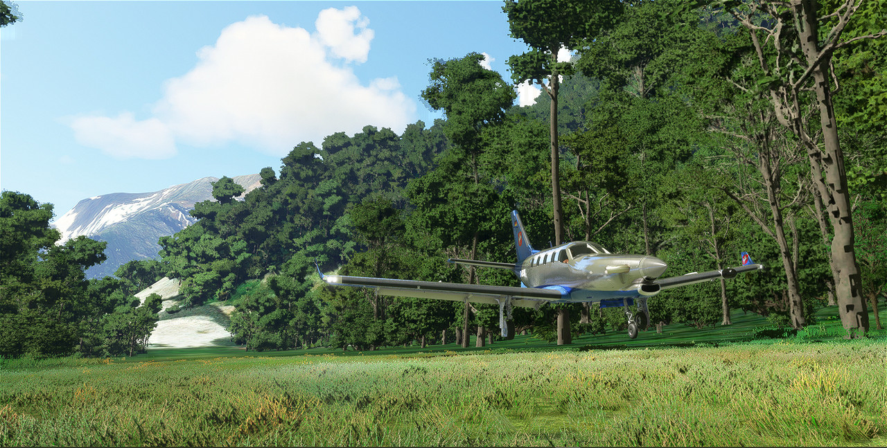 TBM-930-13.jpg