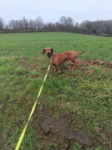 [Image: image000000001002003004-4.jpg]