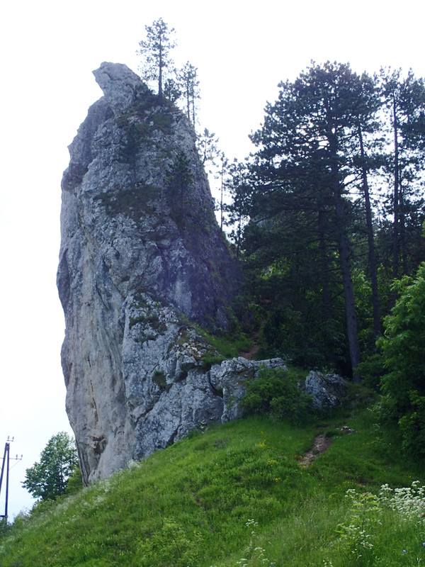 2019_0609G_STRAŻOWSKIE0115