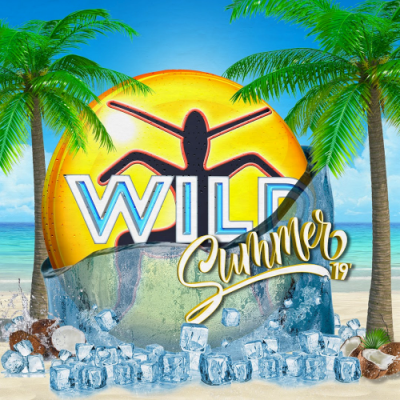 VA - Wild Summer (2019)