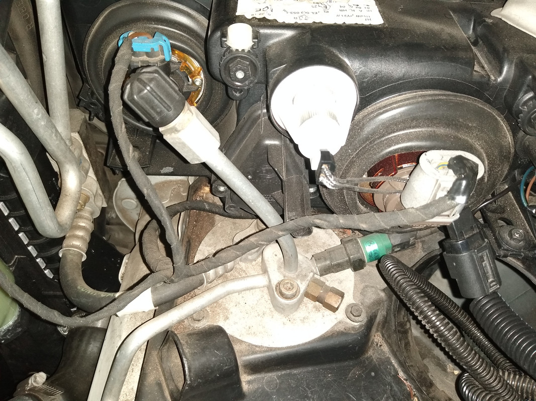 IMG_20211031_094947839