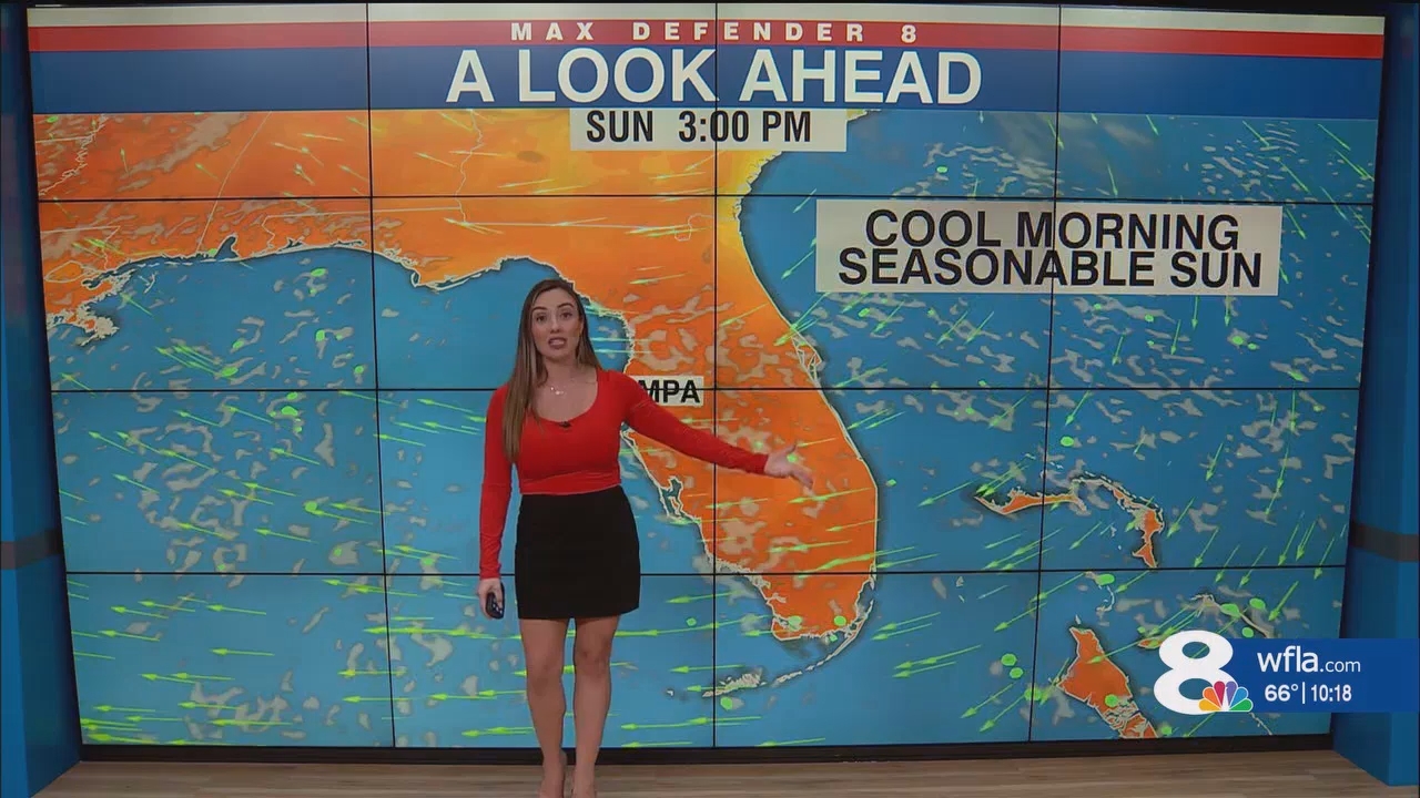 NewsChannel 8 News at 1000pm_20241116_03000330.ts_snapshot_18.58.058
