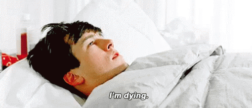 ferris-bueller.gif