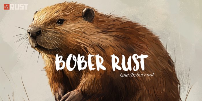 BOBER RUST | СЕРВЕР ДЛЯ НОВИЧКОВ | NO LIM