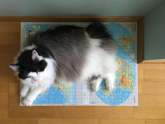 C93930_B5-737_F-42_EE-_ADF9-9_A7_D3_DBB1