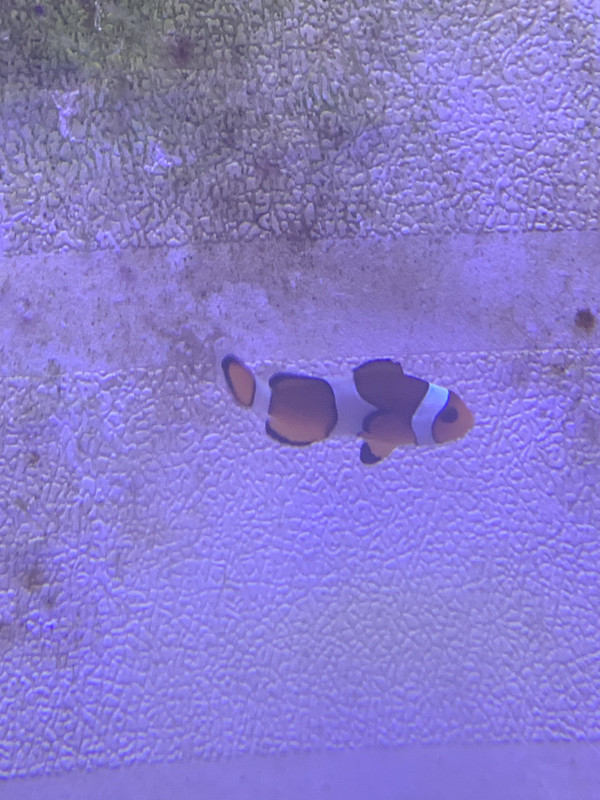 98A5FDD2-AE62-47E0-969F-15D6D9076F50