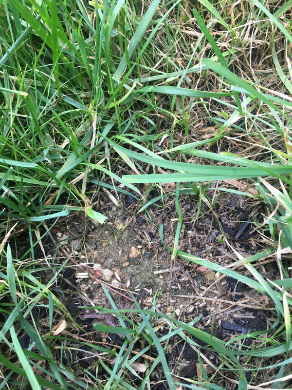 A0478ADF-7CA3-4105-90FA-21B7F7FC1857