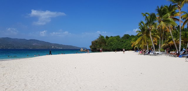 DIA 4 - EXCURSION A SAMANA, CASCADA DEL LIMON E ISLA BACARDI - Hotel Grand Sirenis Punta Cana + Samana + Cortecito (97)