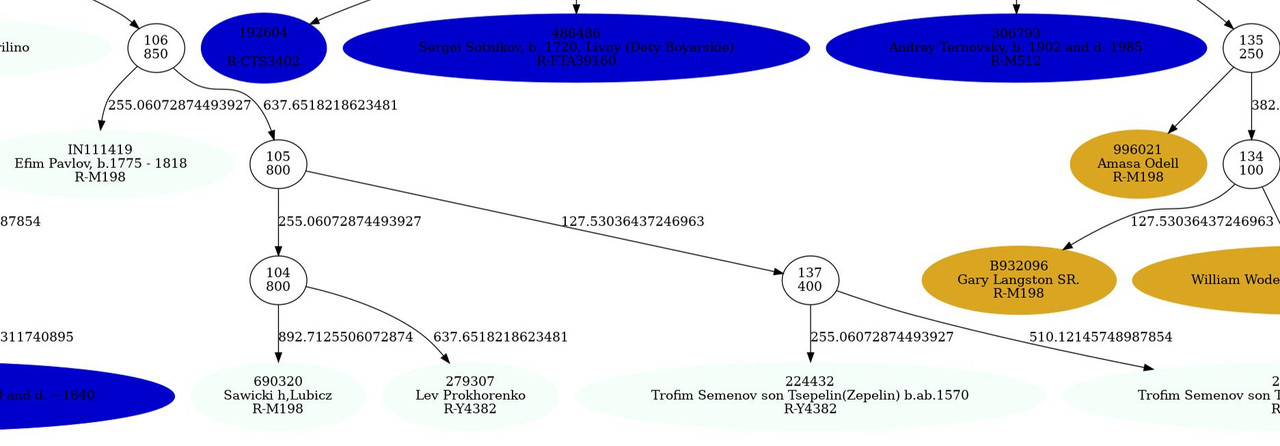 Древо_маркеры_Сапелин-Прохоренко-Павлов