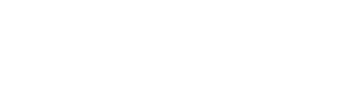 IB1 Investment Business Management